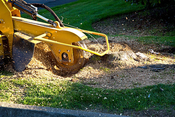 Landscape Design and Installation in St Marys, GA